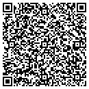QR code with Public Health Clinic contacts