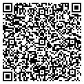QR code with Video Vending contacts