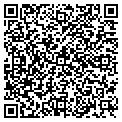 QR code with D2vnet contacts