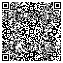 QR code with Premier Telecom contacts