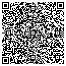 QR code with Chrisman TV & Floral contacts