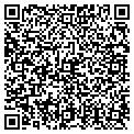 QR code with IBEW contacts