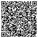 QR code with Visinet contacts