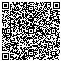 QR code with Alltel contacts