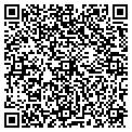 QR code with Faces contacts