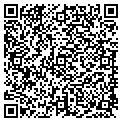 QR code with Tilt contacts