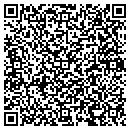 QR code with Couger Systems Inc contacts