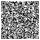 QR code with Professonal Driver contacts