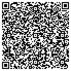 QR code with Chesapeake Consulting Inc contacts