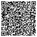 QR code with Casm contacts
