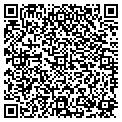 QR code with Modis contacts