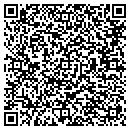 QR code with Pro Auto Tune contacts