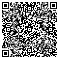 QR code with T Nevis contacts