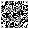 QR code with Hasbro contacts