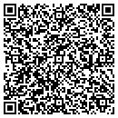 QR code with Carlson Projects Inc contacts