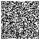 QR code with Pro-Tatch Inc contacts
