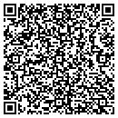QR code with Canutes Consulting Inc contacts