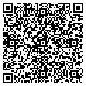 QR code with Curves contacts