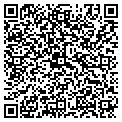 QR code with Nepsac contacts
