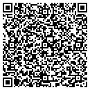 QR code with Concepts In Landscaping contacts