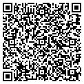 QR code with Buckle contacts
