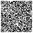QR code with Blue Valley Pest Control contacts