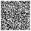 QR code with Cubi Consulting Inc contacts