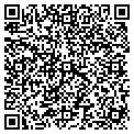 QR code with AIG contacts