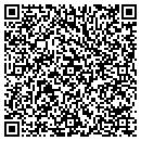QR code with Public Works contacts