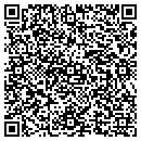QR code with Professional Vision contacts