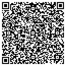 QR code with Precision Imports Inc contacts