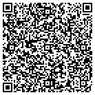 QR code with Pub Restaurant & Caterers contacts