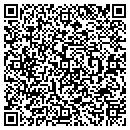QR code with Productive Resources contacts