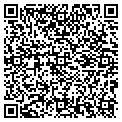 QR code with Intex contacts