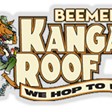 Beemer Kangaroof in Greenville, SC