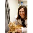P.A.W. Veterinary Clinic in Mount Airy, MD