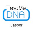 Test Me DNA in Jasper, AL