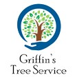 Griffin's Tree Care LLC in Lecanto, FL