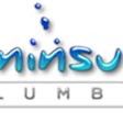 Peninsular Plumbing in Tampa, FL