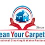 Clean Your Carpets, Inc. in Farmington, NY