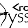 Crossfit Odyssey in Dallas, TX