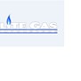 Elite Gas Contractors in Palm City, FL