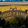 Double P Ranch in Clark, SD