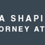 Lisa Shapiro Strauss Attorney at Law in Bedford, TX