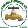 Ansorge Plumbing, Inc in Bunnell, FL