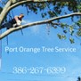 Port Orange Tree Service in Port Orange, FL