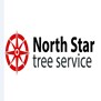 North Star Tree Service in Lawrenceville, GA