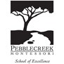 Pebblecreek Montessori in Allen, TX