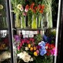 Your Enchanted Florist in St Paul, MN