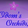 Odom's Orchids, Inc. in Fort Pierce, FL